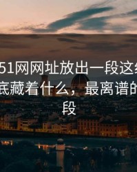 深夜里51网网址放出一段这组截图，背后到底藏着什么，最离谱的是后半段