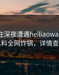 主持人在深夜遭遇heiliaowang揭秘，黑料全网炸锅，详情查看