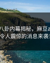 主持人八卦内幕揭秘，麻豆app官网令人震惊的消息来袭！