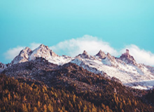 明星隐秘生活大曝光:麻豆App的神秘面纱揭开